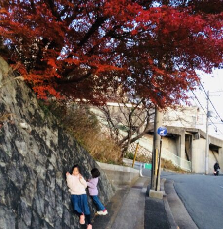 紅葉