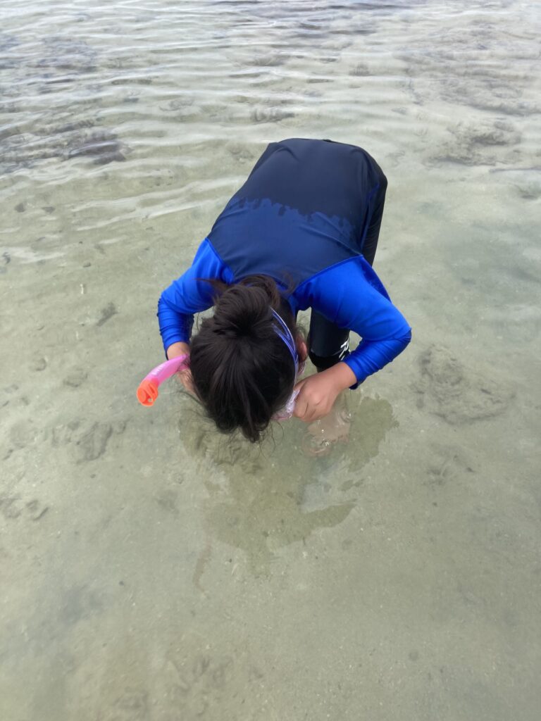 画像 海を覗くこども