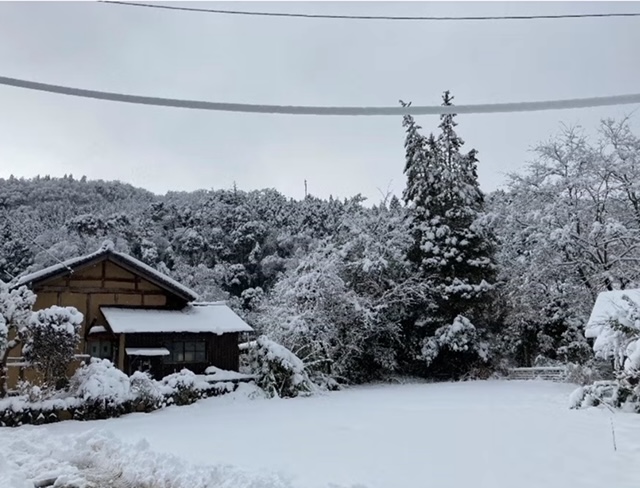 鳥取の雪景色