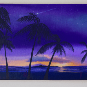 南国の夕暮れと流れ星