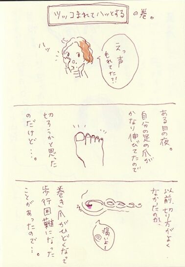 画像 エッセイ漫画