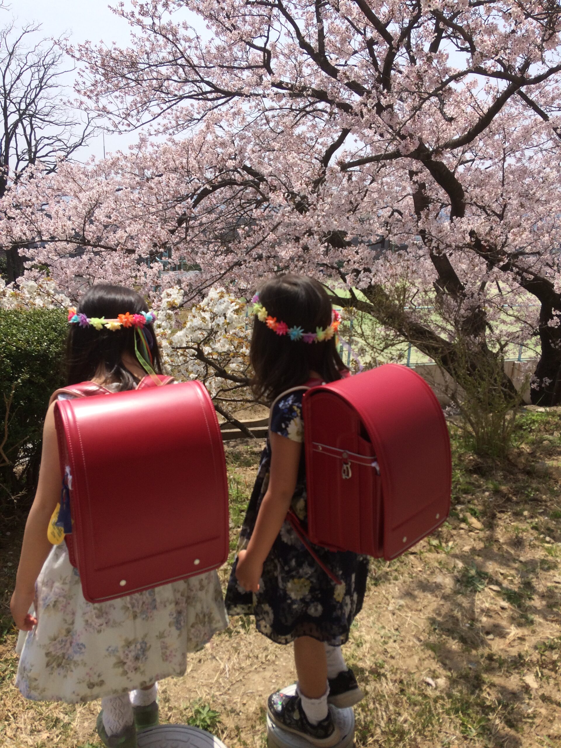 手放すことで巡ってくるもの 〜娘たちとランドセルとしろくまの思い出〜