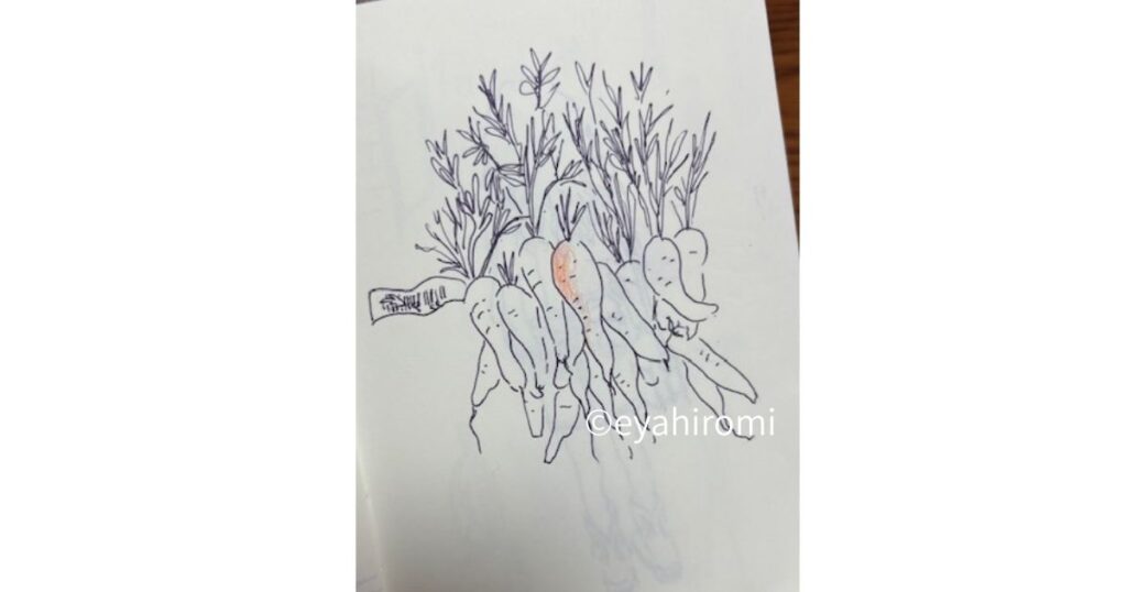 画像 ペン画 旅のスケッチ 人参の絵