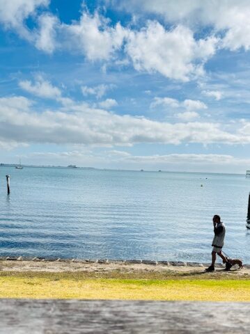 Geelong ジーロング　オーストラリア　海沿いを散歩