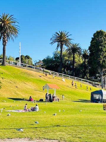 Geelong ジーロング　オーストラリア　街並み　芝生　ピクニック
