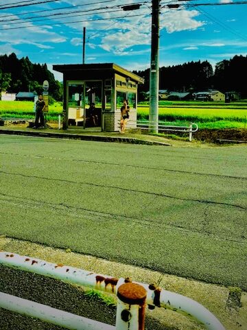 下河原口バス停　夏の影